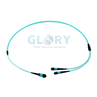 MPO Trunk Cable